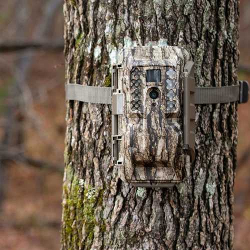 Moultrie MCG13310 XA7000I 20 MP Invisible 80 ft White Bark AT&T