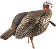 The HDR jake decoy is sized slightly smaller than a real turkey but just big enough that heâ€™ll make a tempting target. The quarter strut posture and subdominant feathers signal he is content but rea...