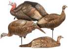 This combo combines all the best of DSDâ€™s lifelike decoys. Includes an upright hen, feeding hen and a breeding pair (jake and submissive hen). Crafted of a sprayed, pigmented and ultradurable versio...