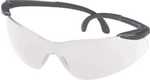 Champion Targets 40614 Standard Eye Protection Clear/Black