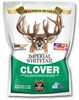 Packed with antler-building protein  Helps does deliver heavier, healthier fawns and produce more milk  Extremely cold tolerant  Heat, drought and disease resistant  Coated with RainBondTM for enhance...