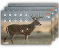 Allen 15268 EZ Aim Splash Non-Adhesive Paper 13" X 24" Whitetail Deer 3 Pack
