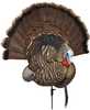 Showpiece For Tail Fan And Beard. The One-Piece Design Easily Holds a Dried Tail Fan And Beard surrounded By Detailed carvings And Ultra-Realistic Paint. It's a Great Way For Turkey Hunters To Relive ...