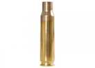 Federal Pr300UPB50 Gold Medal Rifle 300 Win Mag Brass 50