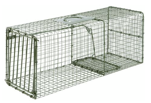 Hd Cage Trap 30x12x12 Raccoon Duke-img-0