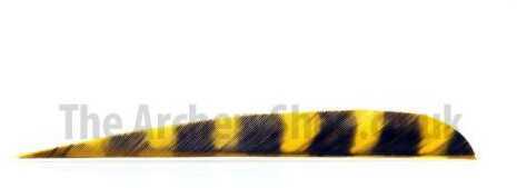 Trueflight Parabolic Feathers Barred Yellow 5 in. RW 100 pk. Model: 11834