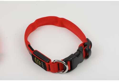 Nite Ize Small Dawg LED Collar- Red
