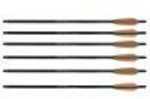 This 6-pack of 20-inch CenterPoint Archery arrows are made from 100% high performance pure carbon fiber construction for ultimate durability and improved wall thickness. These arrows come fletched wit...