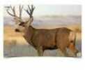 Champion Targets 45828 VisiColor Hanging Paper 13" x 18" Deer Brown 12