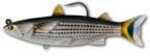 The Mullet Swimbait is perfect for exciting in-shore action. This soft plastic life-like Mullet can be used in skinny water, over grass and shallows or for fishing in current…See More Details