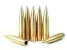Lapua Bullets 50 BMG BULLEX-N 750 Grains Solid 50/Box