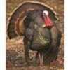 Type/Color: Strutting Turkey Target Size/Finish: 32"X25" Material: DURA Mesh Other FEATURES:: DURA Mesh Targets Are The Ultimate, Durable, Weatherproof, Colorful And Affordable Solution For All Your A...