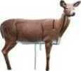 Rinehart Decoy DOLOMA Series Doe Deer Md: 47011
