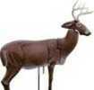 Rinehart Decoy DOLOMA Series Buck Deer Md: 47111