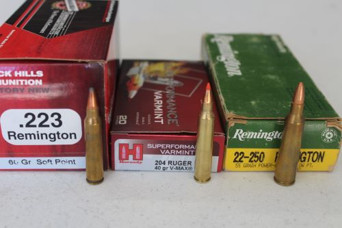 We all have our favorites, but without question these are the three most popular centerfire varmint cartridges, all made by numerous manufacturers and readily available: Left to right: .223 Remington, .204 Ruger, .22-250 Remington