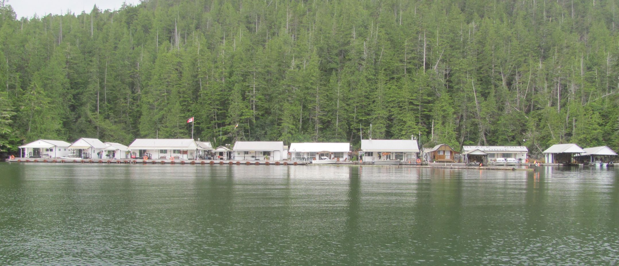 Black Gold is actually a floating village, big logs anchored to shore. It rests in this sheltered cove only during the short July-September fishing season, and is towed to and from winter harbor in between.