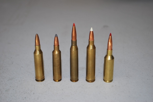 There are quite a few cartridges in the middle tier of “fast” 6.5mms. All of these will at least approach 3000 fps with a 140-grain bullet, and certainly with a 130-grain slug. Left to right: 6.5mm Remington Magnum, 6.5-.284 Norma, 6.5-06 (wildcat), .264 Winchester Magnum, 6.5mm SST (proprietary).