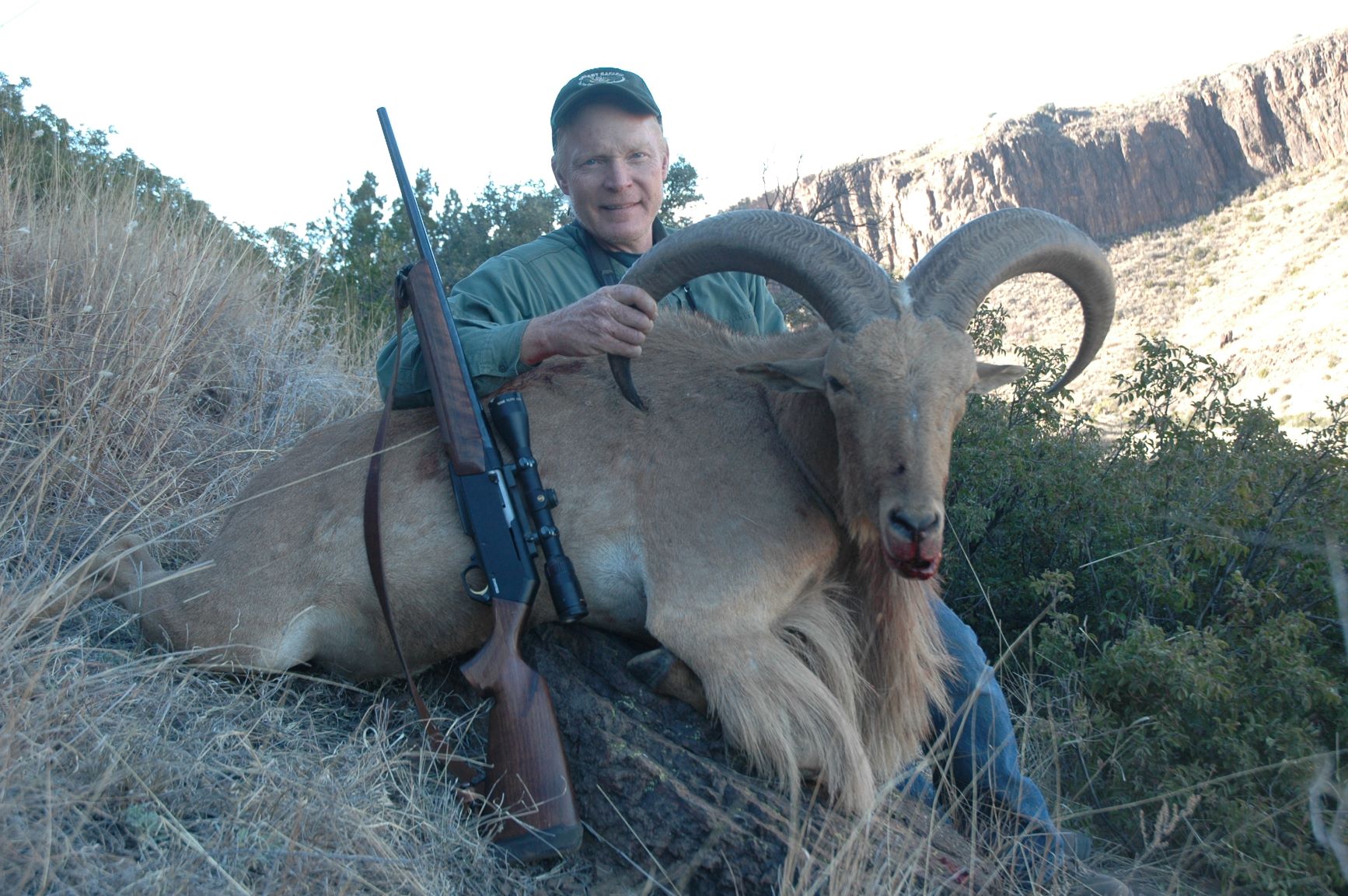  Semiautomatic .308s are more common than .30-06 self-loaders. Browning’s BLR in both short and long-action is chambered to both. This big aoudad was taken with a left-hand short-action BLR in .308.