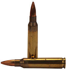 223 Rem 69 Grain Hollow Point 20 Rounds Fiocchi Ammunition 223 Remington