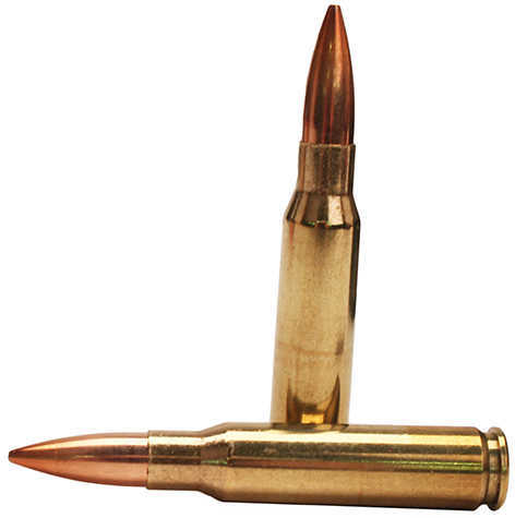308 Winchester 20 Rounds Ammunition Fiocchi 168 Grain Hollow Point