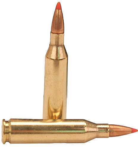 243 Winchester 20 Rounds Ammunition Fiocchi 95 Grain Ballistic Tip