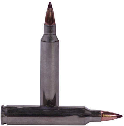 204 Ruger 32 Grain Ballistic Tip Rounds Federal Ammunition