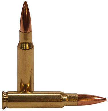 7.62 NATO 168 Grain Full Metal Jacket 20 Rounds Federal Ammunition
