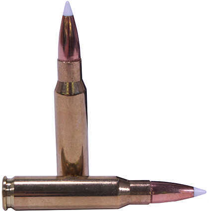 308 Win 150 Grain Ballistic Tip 20 Rounds Nosler Ammunition 308 Winchester
