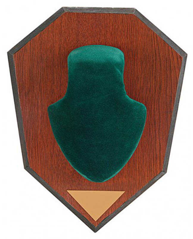 Allen Cases Deer Antler Mount Green