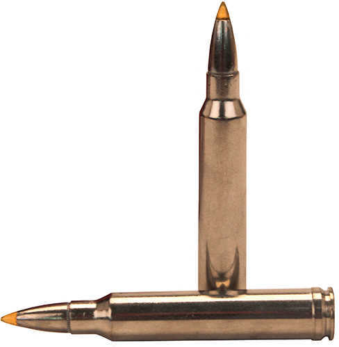 300 Win Mag 180 Grain Ballistic Tip 20 Rounds Federal Ammunition 300 Winchester Magnum