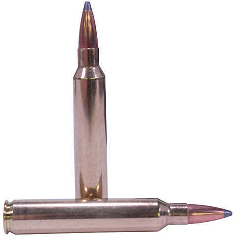 Nosler Trophy Grade Rifle Ammunition 300 RUM 165 gr. AB SP 20 rd. Model: 60064