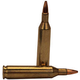 17 Rem 25 Grain Hollow Point 20 Rounds Remington Ammunition