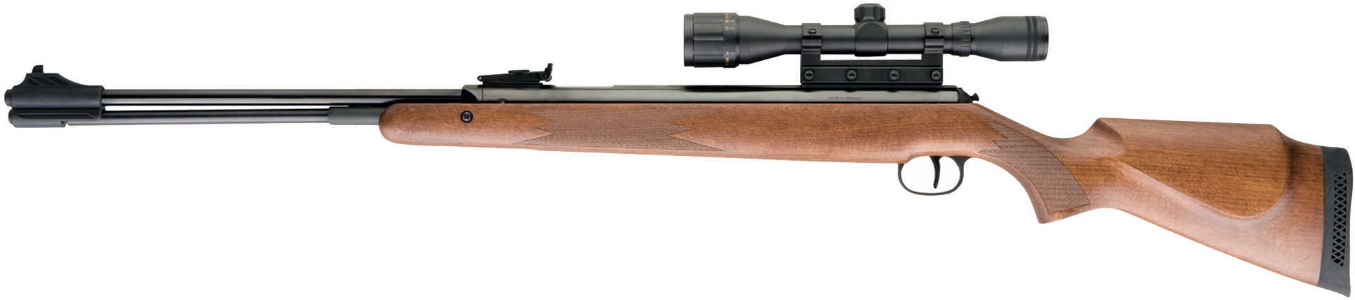 RWS Model 460 Magnum .22 Air Gun Combo