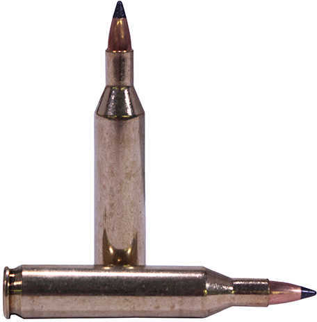 17 Rem 20 Grain Ballistic Tip Rounds Nosler Ammunition Remington