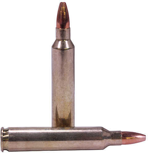 204 Ruger 32 Grain Hollow Point Rounds Nosler Ammunition