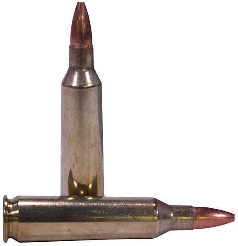 22-250 Rem 55 Grain Hollow Point 20 Rounds Nosler Ammunition Remington