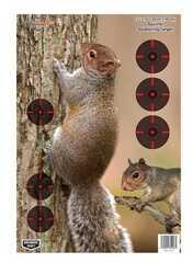 Birchwood Casey Bc-35406 Pregame Squirrel Paper 12" X 18"
