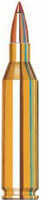 Rifle 243 Winchester