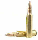 Rifle 250 Savage