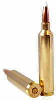 Rifle 26 Nosler