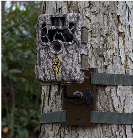 Browning Trail Camera Mount Tree