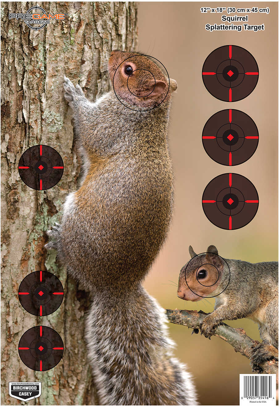 Birchwood Casey Pregame Target - 12"x18" Squirrel 8 Pack