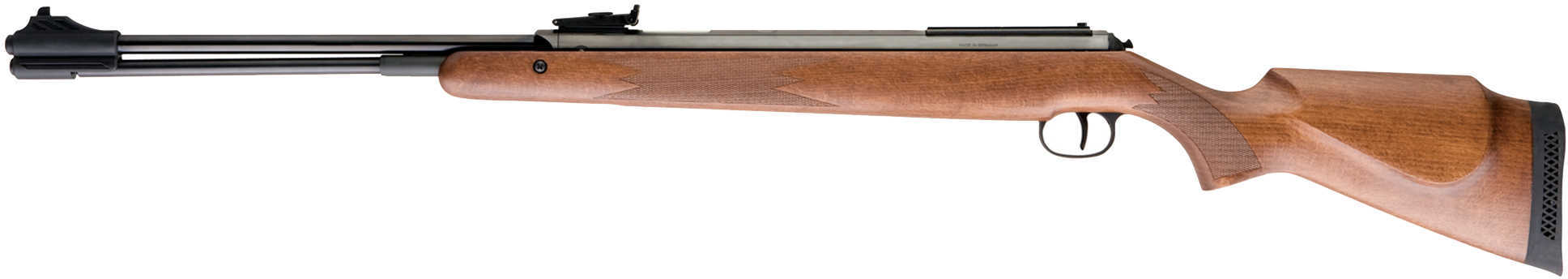RWS Model 460 Magnum .22 Air Gun