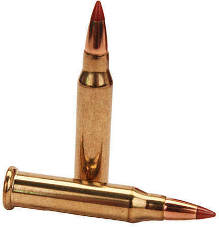 17 Win Super Mag 20 Grain Ballistic Tip 50 Rounds Federal Ammunition Winchester