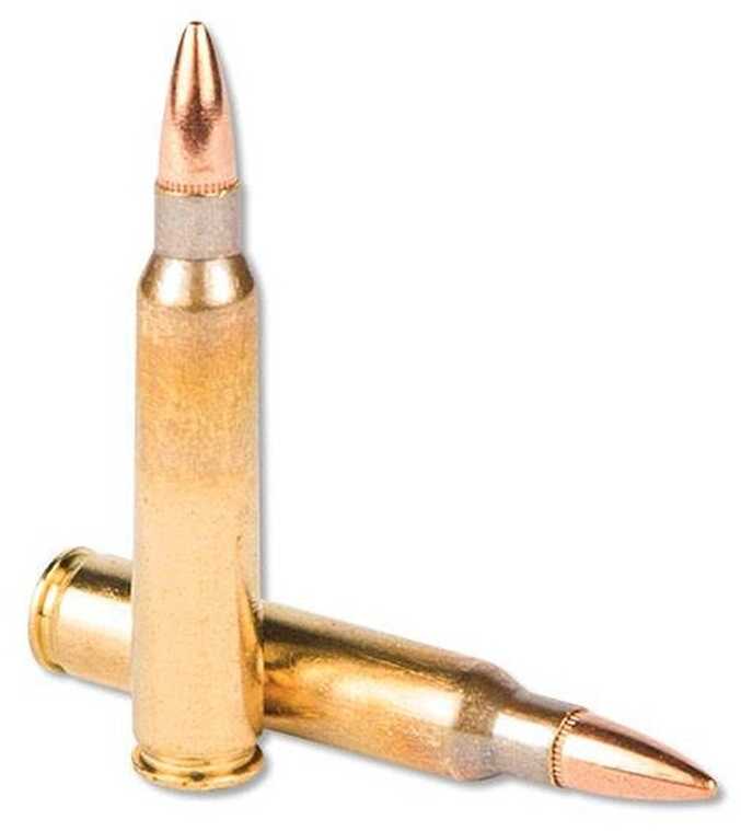 5.56mm Nato 55 Grain Full Metal Case 200 Rounds Prvi Partizan Ammunition