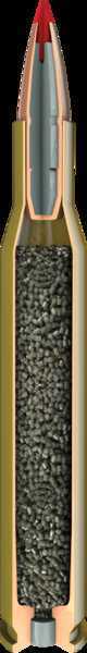 338 Win Mag 200 Grain Ballistic Tip Rounds Hornady Ammunition Winchester Magnum