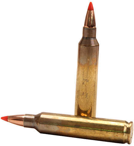 Fiocchi FXT Centerfire Rifle Ammo 204 Ruger 32 gr. V-Max 50 rd. Model: 204HVA