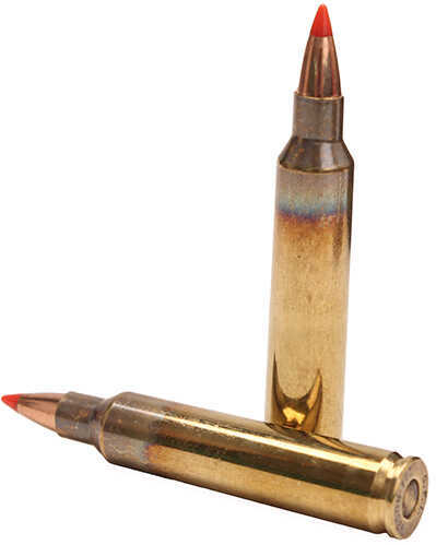 204 Ruger 40 Grain Soft Point 50 Rounds Fiocchi Ammunition