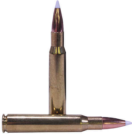 Nosler Trophy Grade Rifle Ammunition .30-06 Sprg 165 Gr Ab 2950 Fps 20/ct