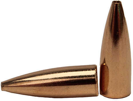 Speer Bullet .22 .224 50 Grains HP TNT